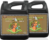 Фото Advanced Nutrients Sensi Grow Coco AB 500 мл